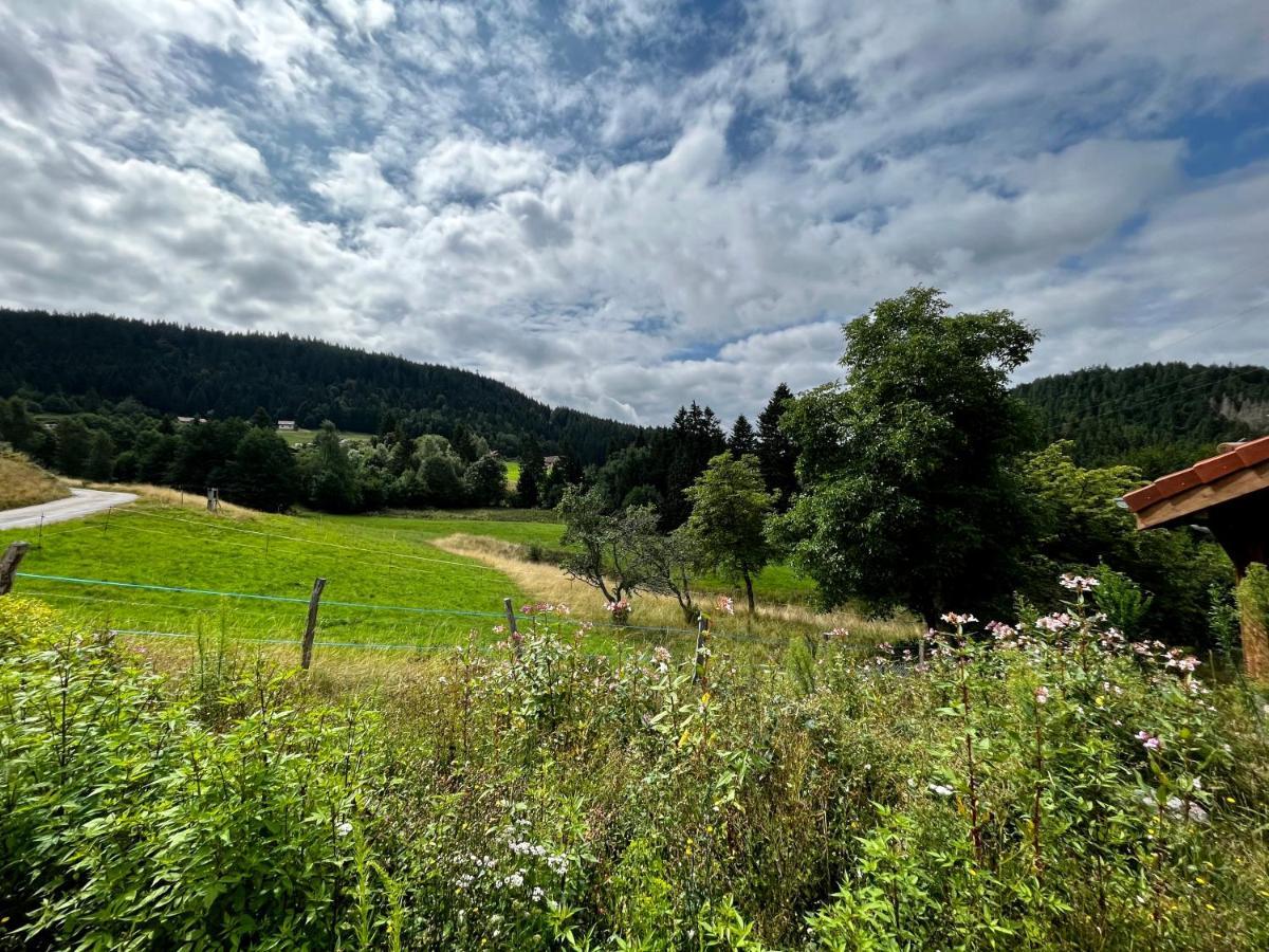 Stone Lake Luxury Lodge Gérardmer Dış mekan fotoğraf